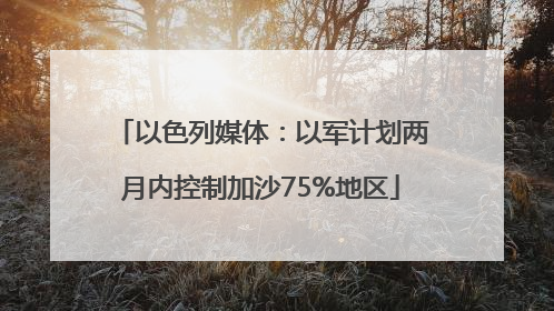 以色列媒体：以军计划两月内控制加沙75%地区