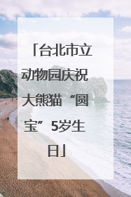 台北市立动物园庆祝大熊猫“圆宝”5岁生日
