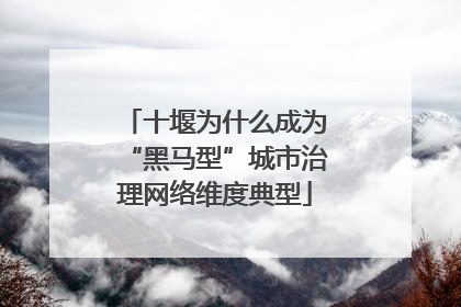 十堰为什么成为“黑马型”城市治理网络维度典型