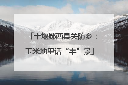 十堰郧西县关防乡：玉米地里话“丰”景
