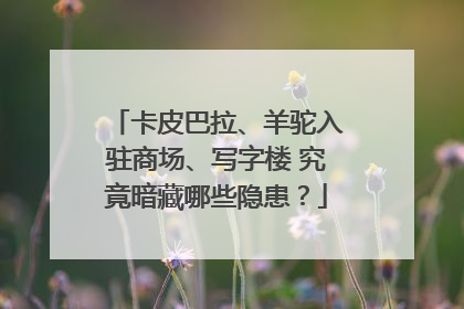 卡皮巴拉、羊驼入驻商场、写字楼 究竟暗藏哪些隐患？