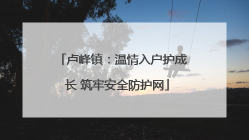 卢峰镇：温情入户护成长 筑牢安全防护网