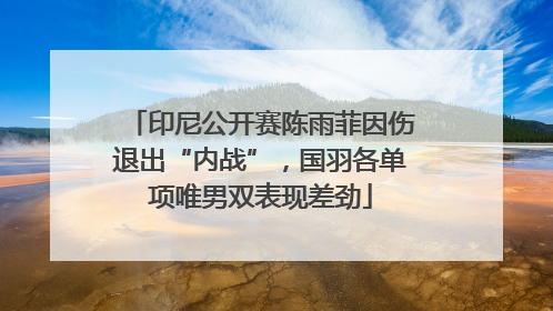 印尼公开赛陈雨菲因伤退出“内战”，国羽各单项唯男双表现差劲