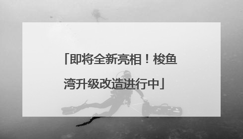 即将全新亮相！梭鱼湾升级改造进行中