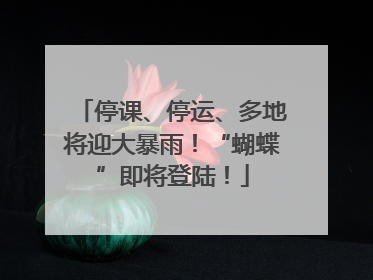 停课、停运、多地将迎大暴雨！“蝴蝶”即将登陆！
