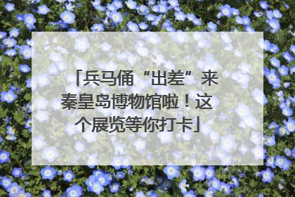 兵马俑“出差”来秦皇岛博物馆啦！这个展览等你打卡