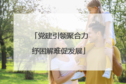 党建引领聚合力 纾困解难促发展