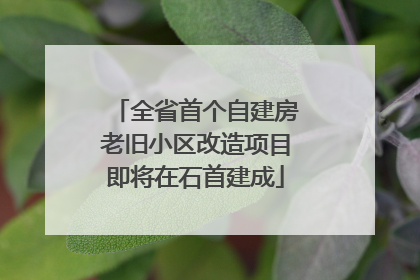 全省首个自建房老旧小区改造项目即将在石首建成