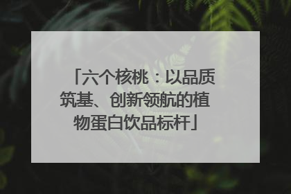 六个核桃：以品质筑基、创新领航的植物蛋白饮品标杆