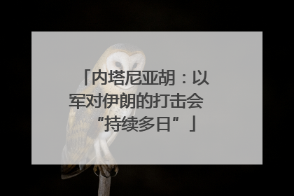 内塔尼亚胡：以军对伊朗的打击会“持续多日”