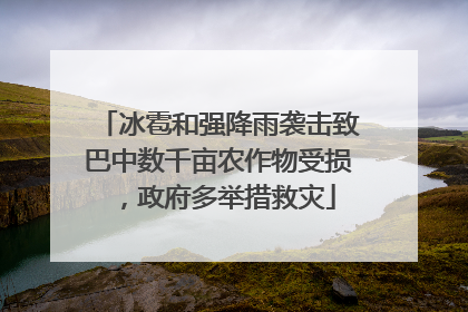 冰雹和强降雨袭击致巴中数千亩农作物受损，政府多举措救灾
