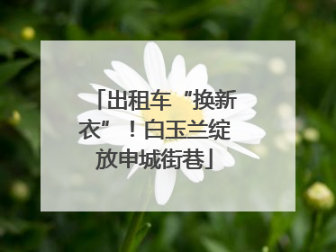 出租车“换新衣”！白玉兰绽放申城街巷