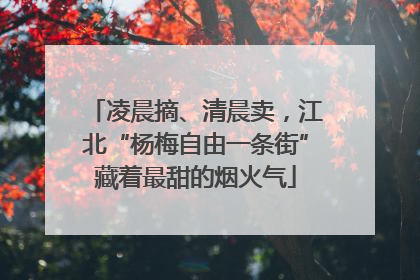 凌晨摘、清晨卖，江北“杨梅自由一条街”藏着最甜的烟火气