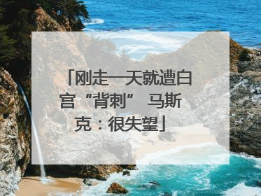 刚走一天就遭白宫“背刺” 马斯克：很失望