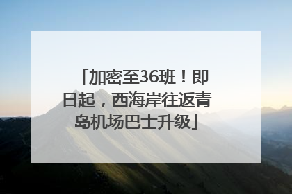 加密至36班！即日起，西海岸往返青岛机场巴士升级