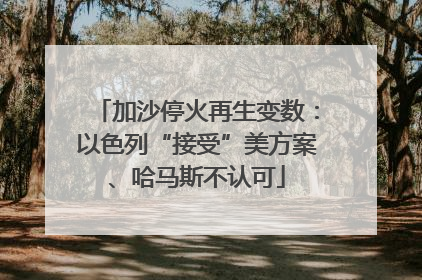 加沙停火再生变数：以色列“接受”美方案、哈马斯不认可