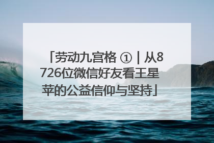劳动九宫格 ①｜从8726位微信好友看王星苹的公益信仰与坚持
