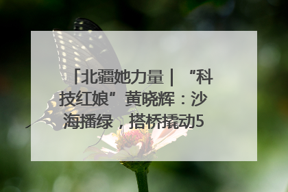 北疆她力量｜“科技红娘”黄晓辉：沙海播绿，搭桥撬动5.3亿研发