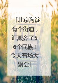 北京海淀有个街道，汇聚齐了56个民族！今天有场大聚会