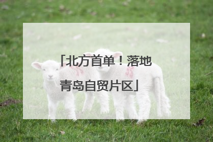 北方首单！落地青岛自贸片区
