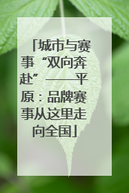 城市与赛事“双向奔赴”——平原：品牌赛事从这里走向全国