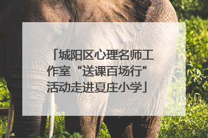 城阳区心理名师工作室“送课百场行”活动走进夏庄小学