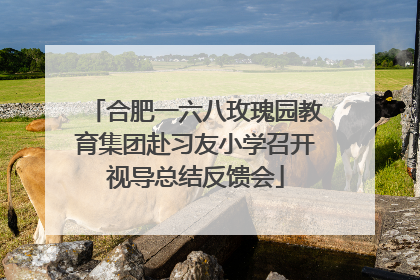 合肥一六八玫瑰园教育集团赴习友小学召开视导总结反馈会