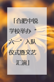 合肥中锐学校举办“六一”入队仪式暨文艺汇演