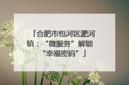 合肥市包河区淝河镇：“微服务”解锁“幸福密码”