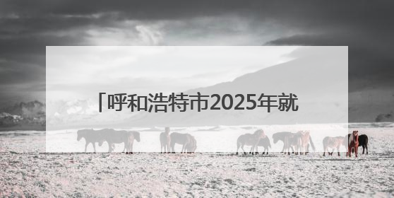 呼和浩特市2025年就业创业服务进校园暨第8场高校巡回招聘会举办