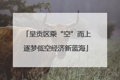 呈贡区乘“空”而上 逐梦低空经济新蓝海