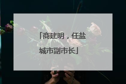 商建明，任盐城市副市长