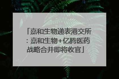 嘉和生物递表港交所：嘉和生物+亿腾医药战略合并即将收官
