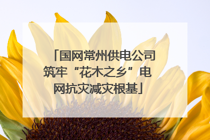 国网常州供电公司筑牢“花木之乡”电网抗灾减灾根基