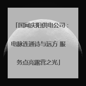 国网庆阳供电公司：电脉连通诗与远方 服务点亮露营之光