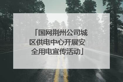 国网荆州公司城区供电中心开展安全用电宣传活动