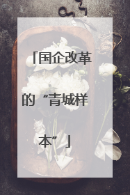 国企改革的“青城样本”