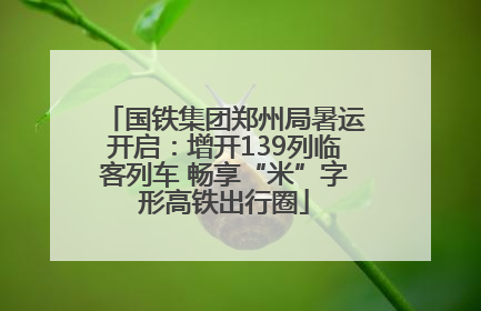 国铁集团郑州局暑运开启：增开139列临客列车 畅享“米”字形高铁出行圈