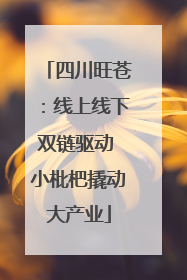 四川旺苍：线上线下双链驱动 小枇杷撬动大产业