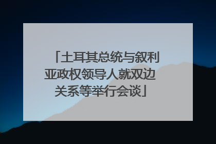 土耳其总统与叙利亚政权领导人就双边关系等举行会谈