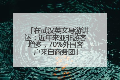 在武汉英文导游讲述：近年来亚非游客增多，70%外国客户来自商务团