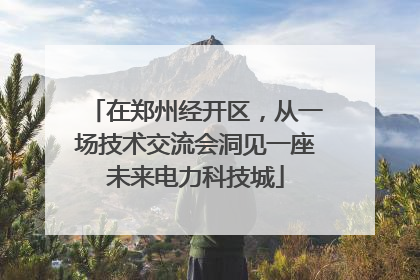 在郑州经开区，从一场技术交流会洞见一座未来电力科技城