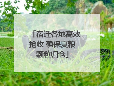 宿迁各地高效抢收 确保夏粮颗粒归仓