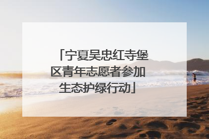 宁夏吴忠红寺堡区青年志愿者参加生态护绿行动