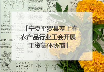 宁夏平罗县塞上春农产品行业工会开展工资集体协商