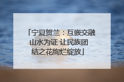 宁夏贺兰：互嵌交融 山水为证 让民族团结之花绚烂绽放