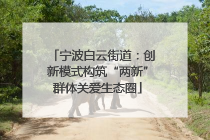 宁波白云街道：创新模式构筑“两新”群体关爱生态圈
