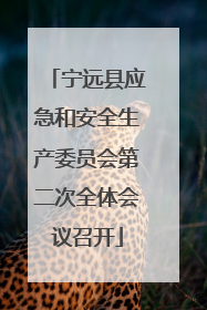 宁远县应急和安全生产委员会第二次全体会议召开
