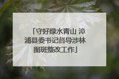 守好绿水青山 漳浦县委书记督导涉林图斑整改工作