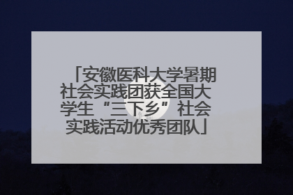 安徽医科大学暑期社会实践团获全国大学生“三下乡”社会实践活动优秀团队